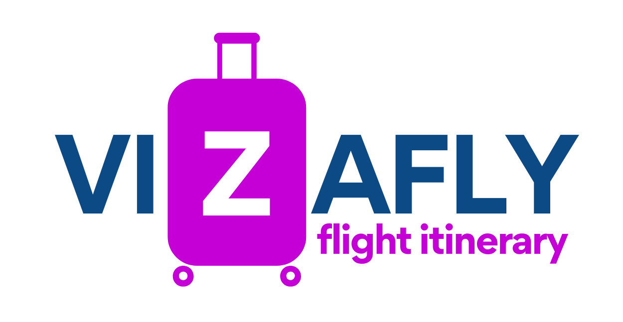 Vizafly logo 